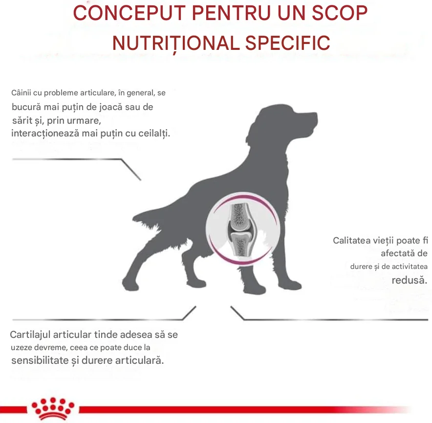 Royal Canin Dieta Mobility Suport 2 kg