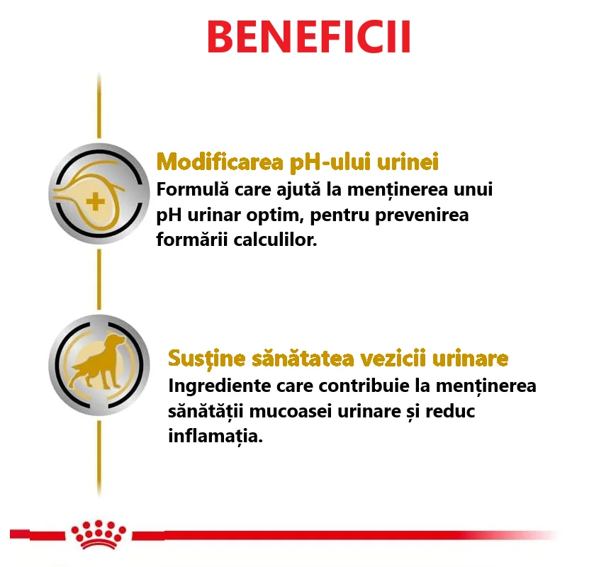 Royal Canin Dieta Urinary S/O