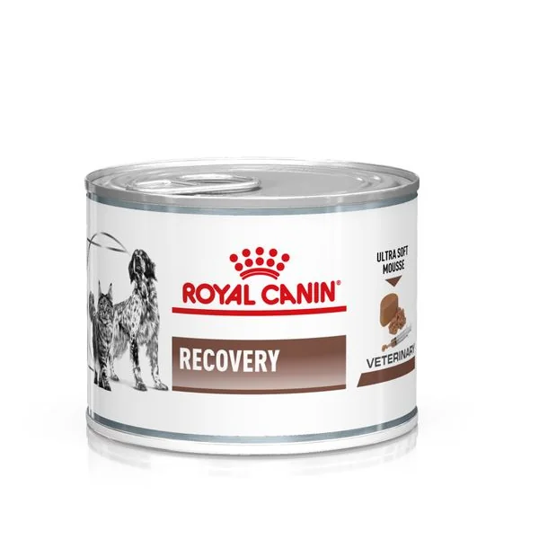 Royal Canin Conserva Dog/Cat Dieta Recovery 195 g