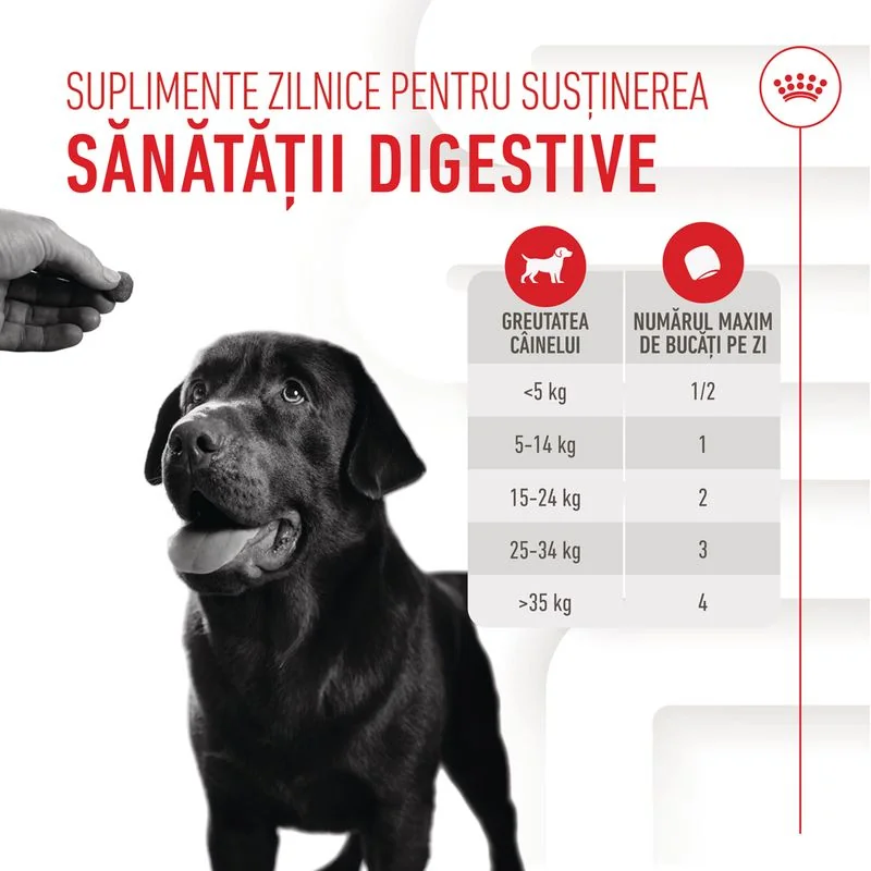 Royal Canin Suplimente Masticabile Digestie Adult 160 g