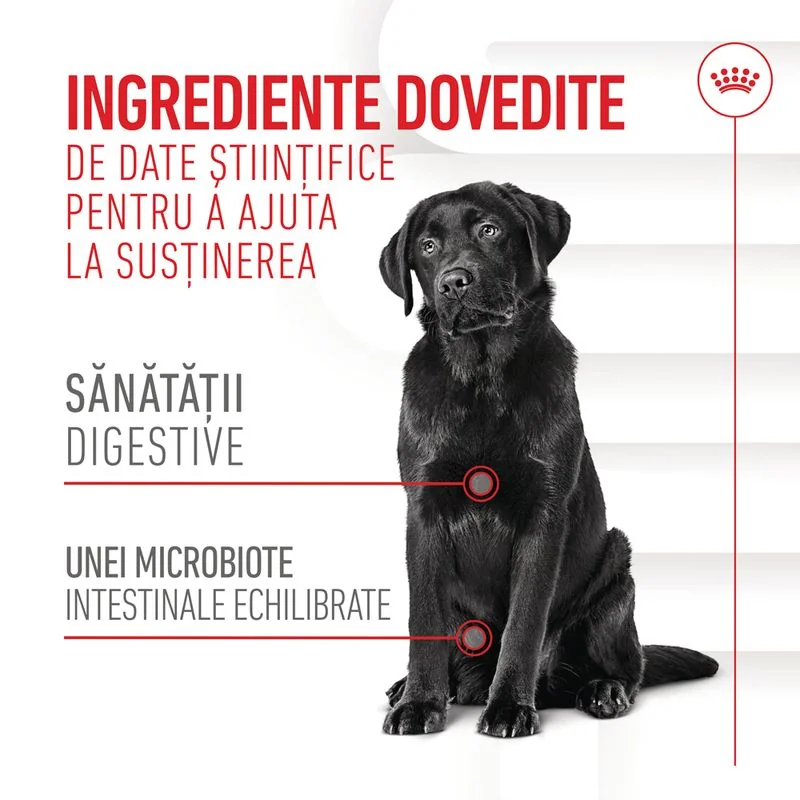 Royal Canin Suplimente Masticabile Digestie Adult 160 g