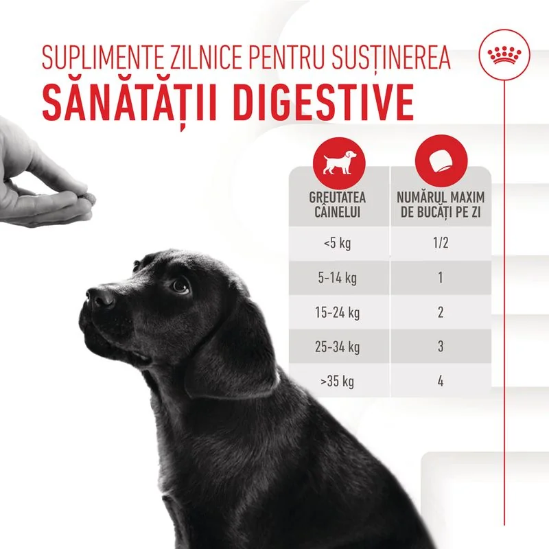 Royal Canin Suplimente Masticabile Imunitate Si Digestie Puppy 100 g
