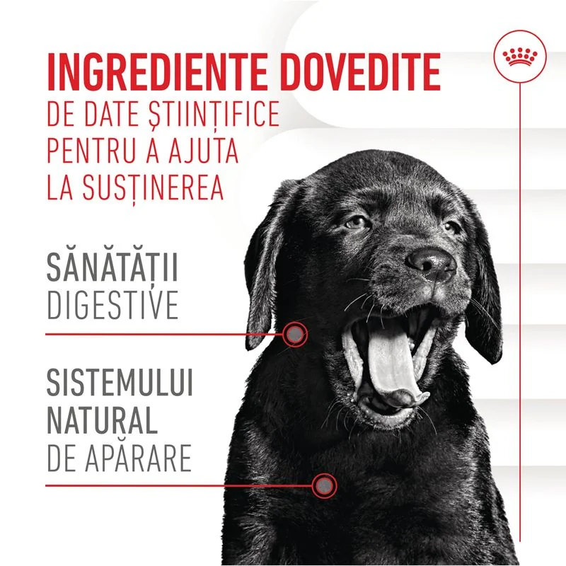 Royal Canin Suplimente Masticabile Imunitate Si Digestie Puppy 100 g