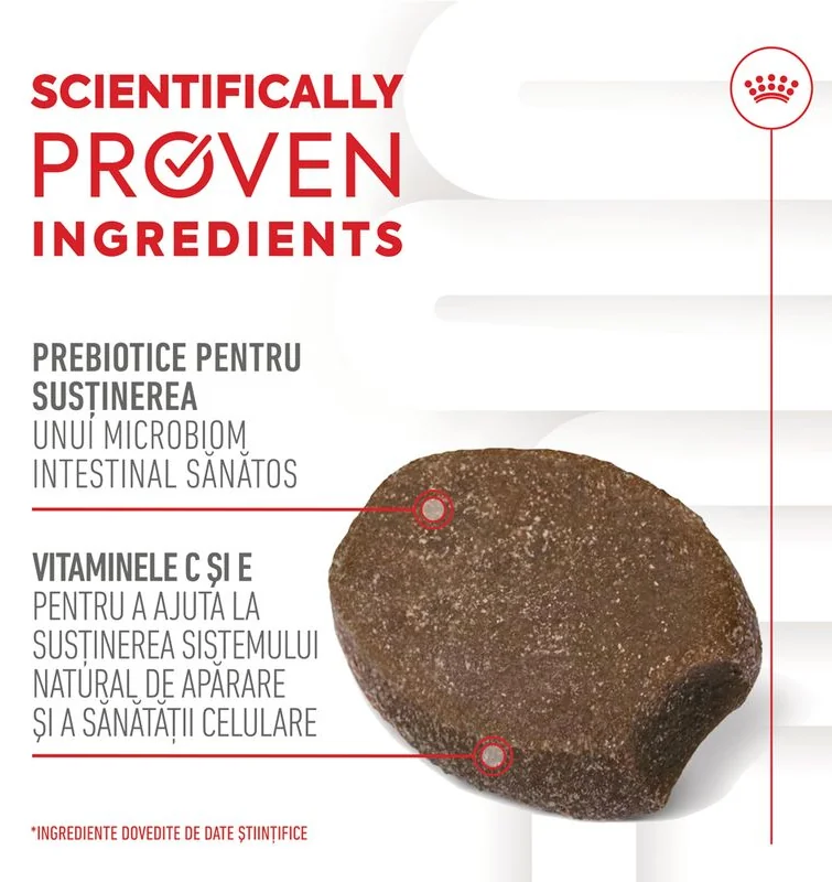 Royal Canin Suplimente Masticabile Imunitate Si Digestie Puppy 100 g