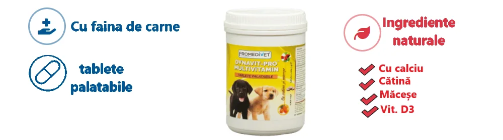 Promedivet Dynavit Pro Multivit Caini Talie Mare 150 TBL