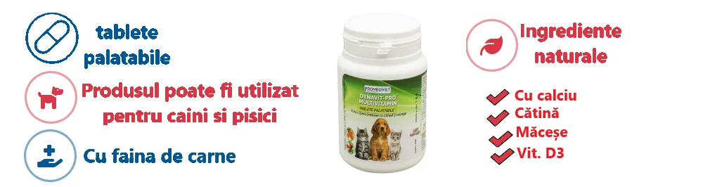Promedivet Dynavit Pro Multivit Caini/Pisici 200 TBL