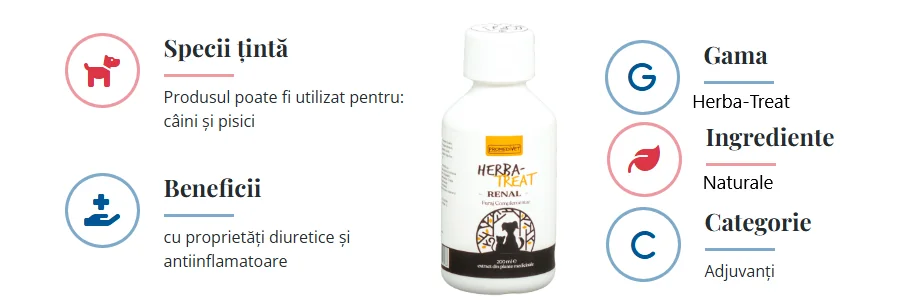 Promedivet Herba-Treat Renal 200 ml