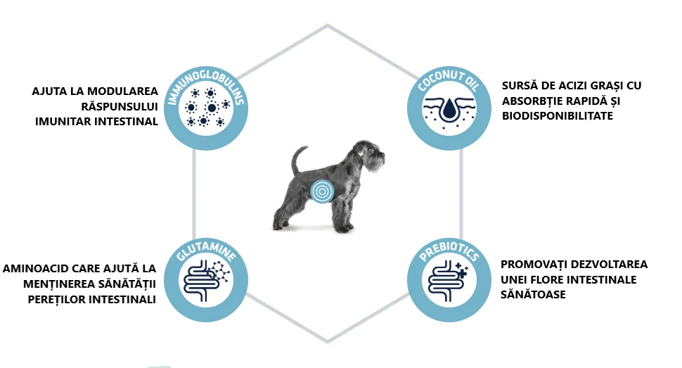 Advance Dog Dieta Gastroenteric 12 Kg