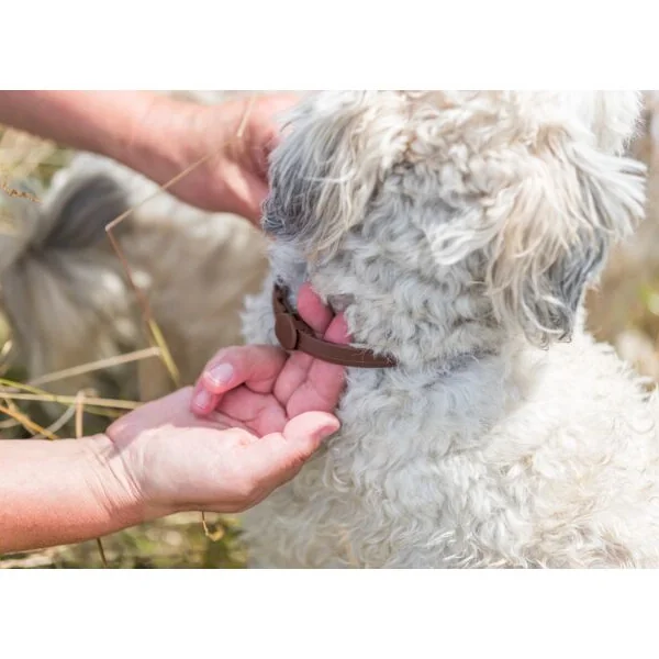 Trixie Zgarda Antiparazitara Natur pentru Caini 60 Cm