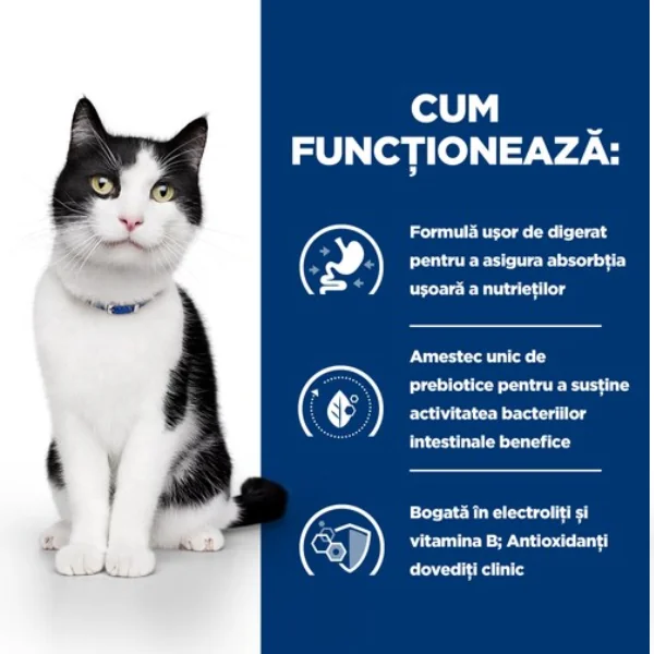 Hills Felin Dieta I/D Pui