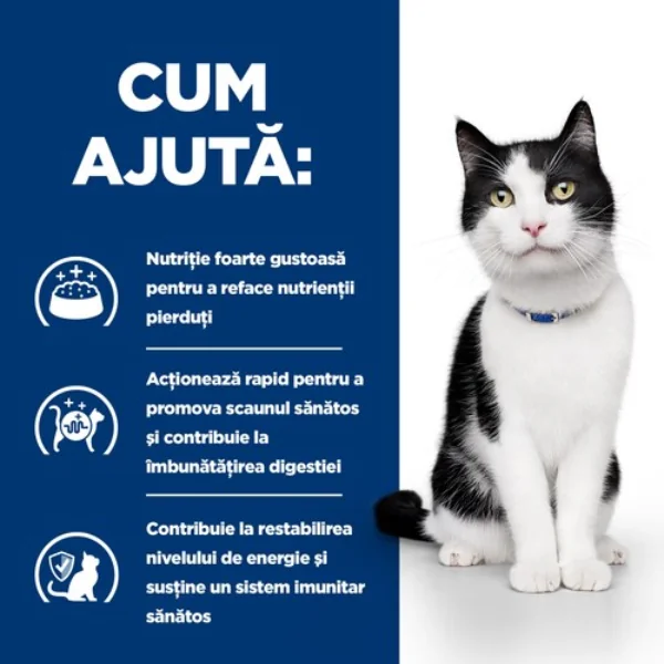 Hills Felin Dieta I/D Pui