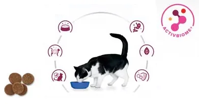 Hills Felin Dieta I/D Pui