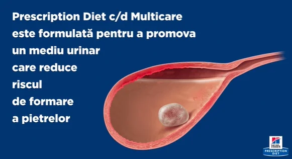 Hills Felin Dieta Pate C/D Pui 156 g