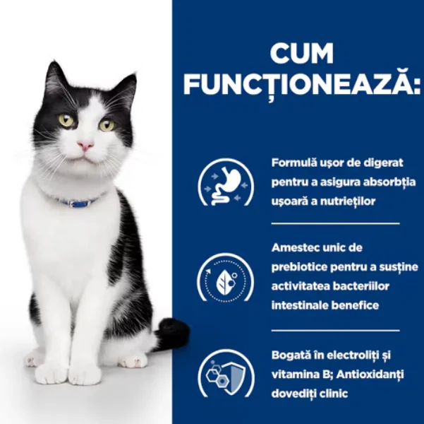 Hills Felin Dieta Pate I/D Pui 156 g