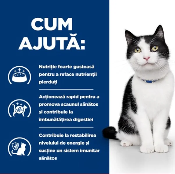 Hills Felin Dieta Pate I/D Pui 156 g