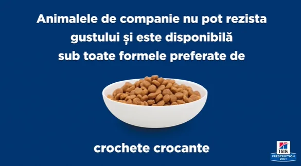 Hills Felin Dieta C/D Pui