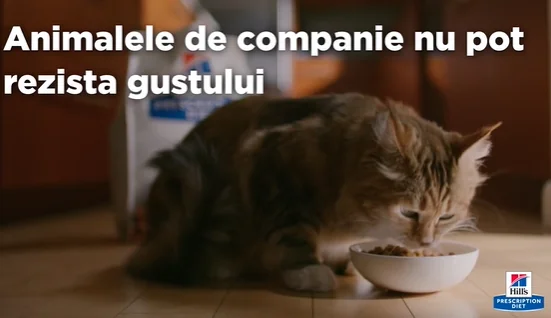 Hills Felin Dieta D/D Rata si Mazare 1.5 kg