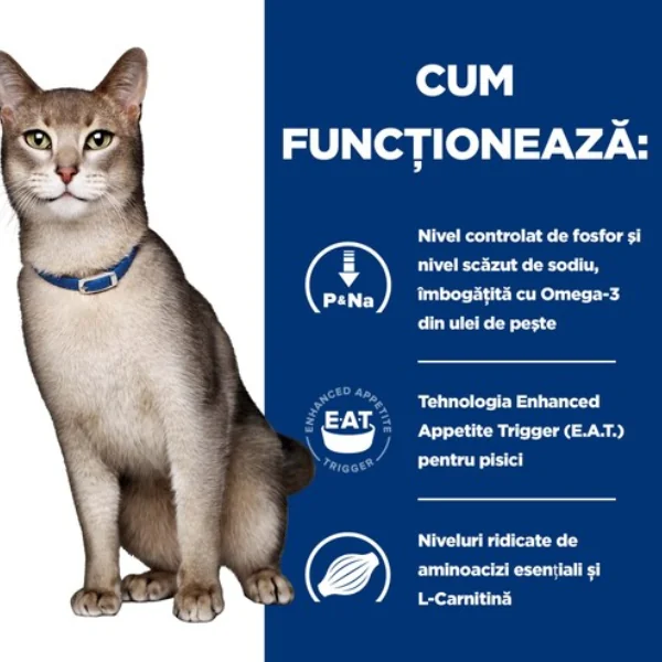 Hills Felin Dieta K/D Pui