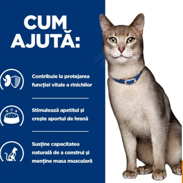 Hills Felin Dieta K/D Pui