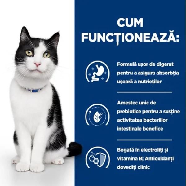 Hills Felin Dieta Plic I/D Pui 85 G X 12