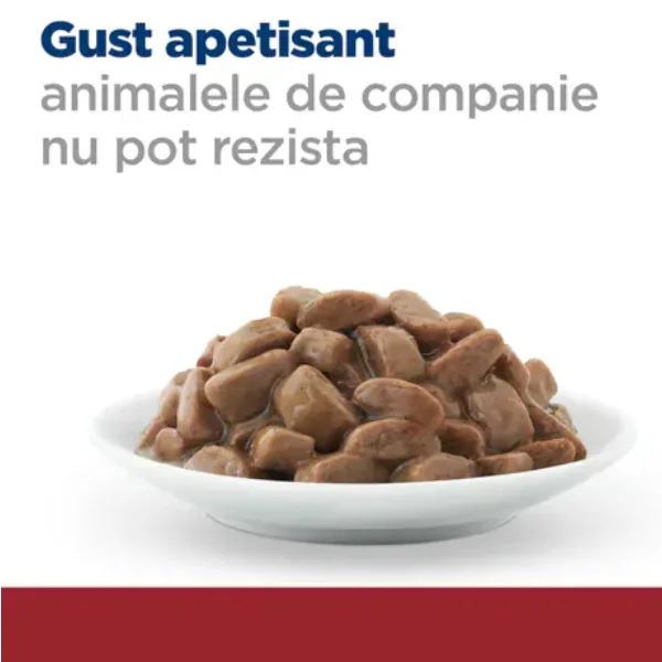 Hills Felin Dieta Plic I/D Pui 85 G X 12