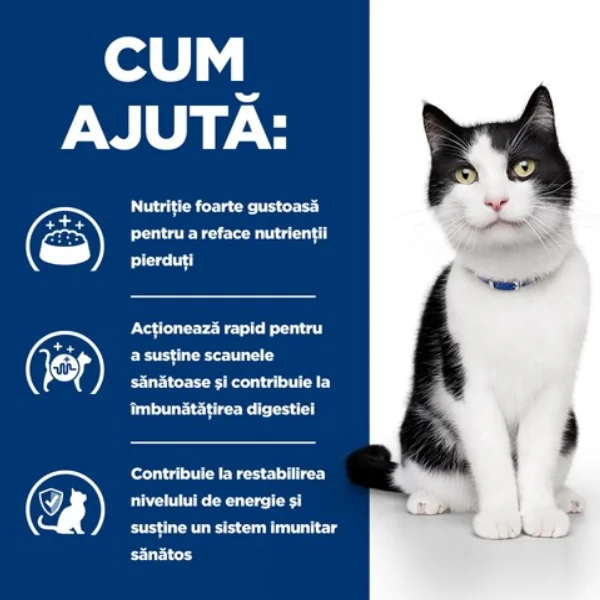 Hills Felin Dieta Plic I/D Pui 85 G X 12