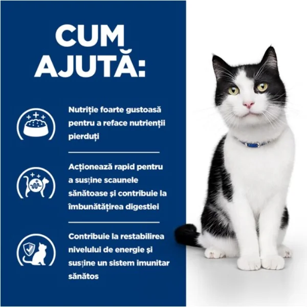 Hills Felin Dieta Plic I/D Somon 85 G X 12