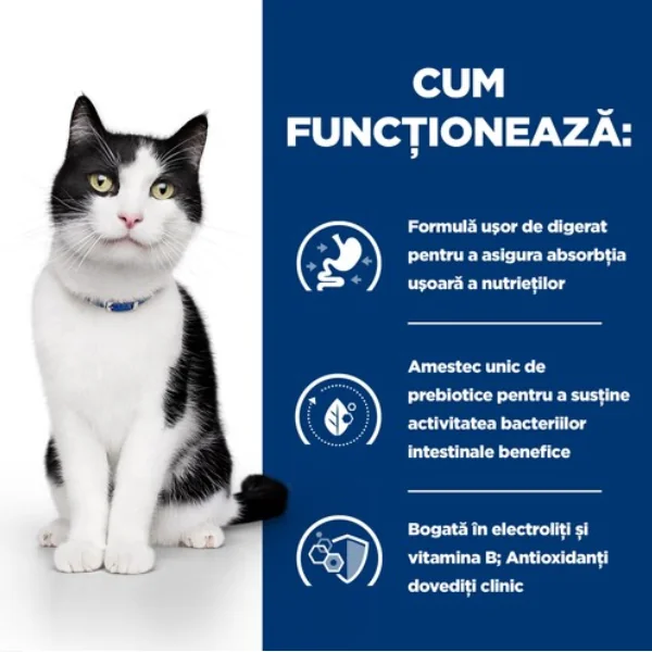 Hills Felin Dieta Plic I/D Somon 85 G X 12