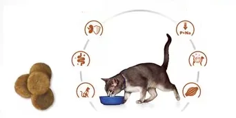 Hills Felin K/D Ton 1.5 Kg