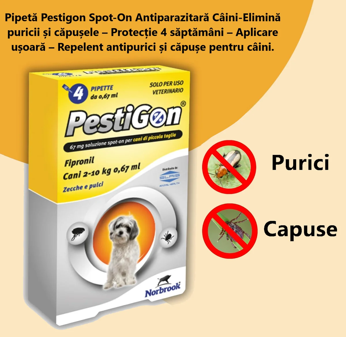 Pestigon Pipete Caine