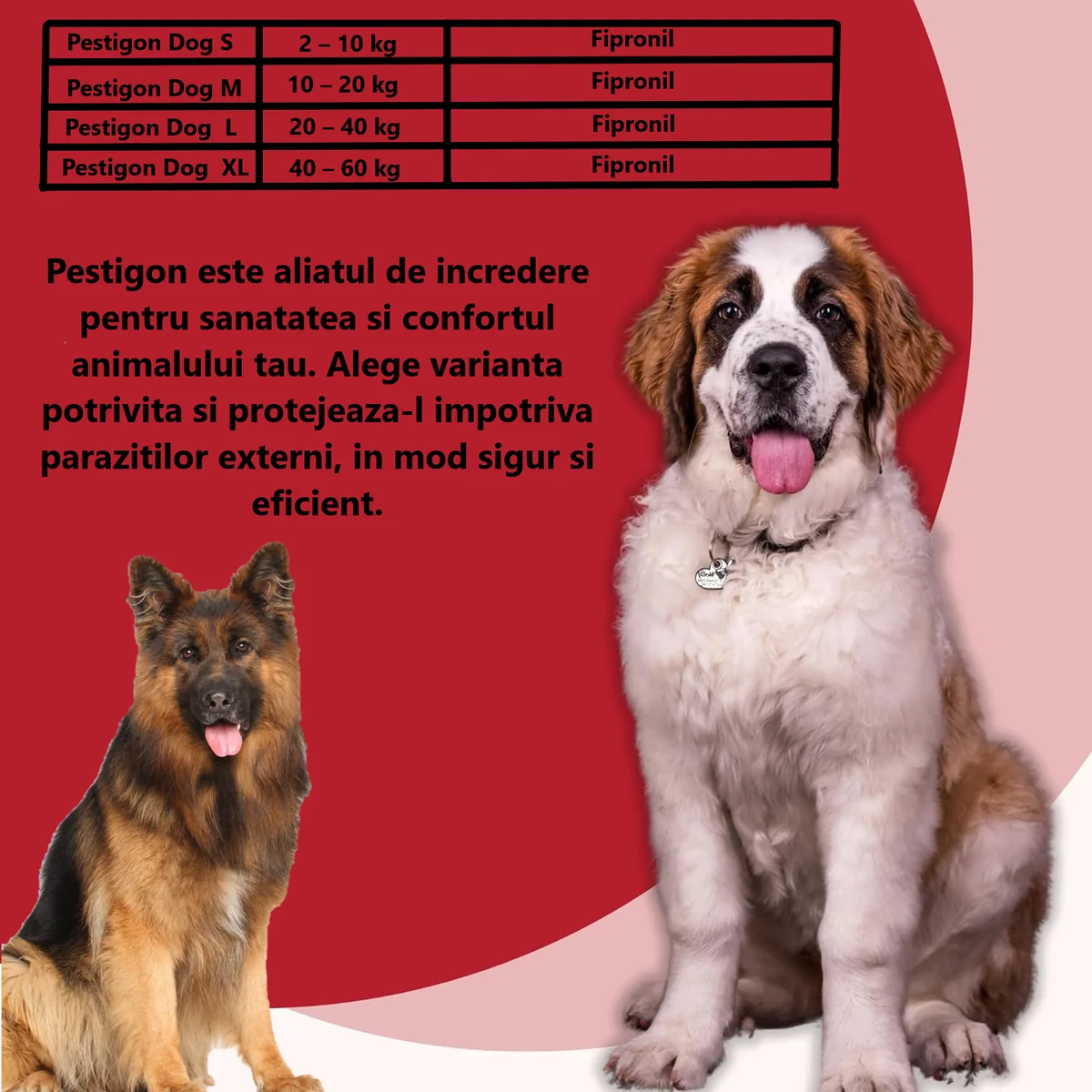 Pestigon Pipete Caine