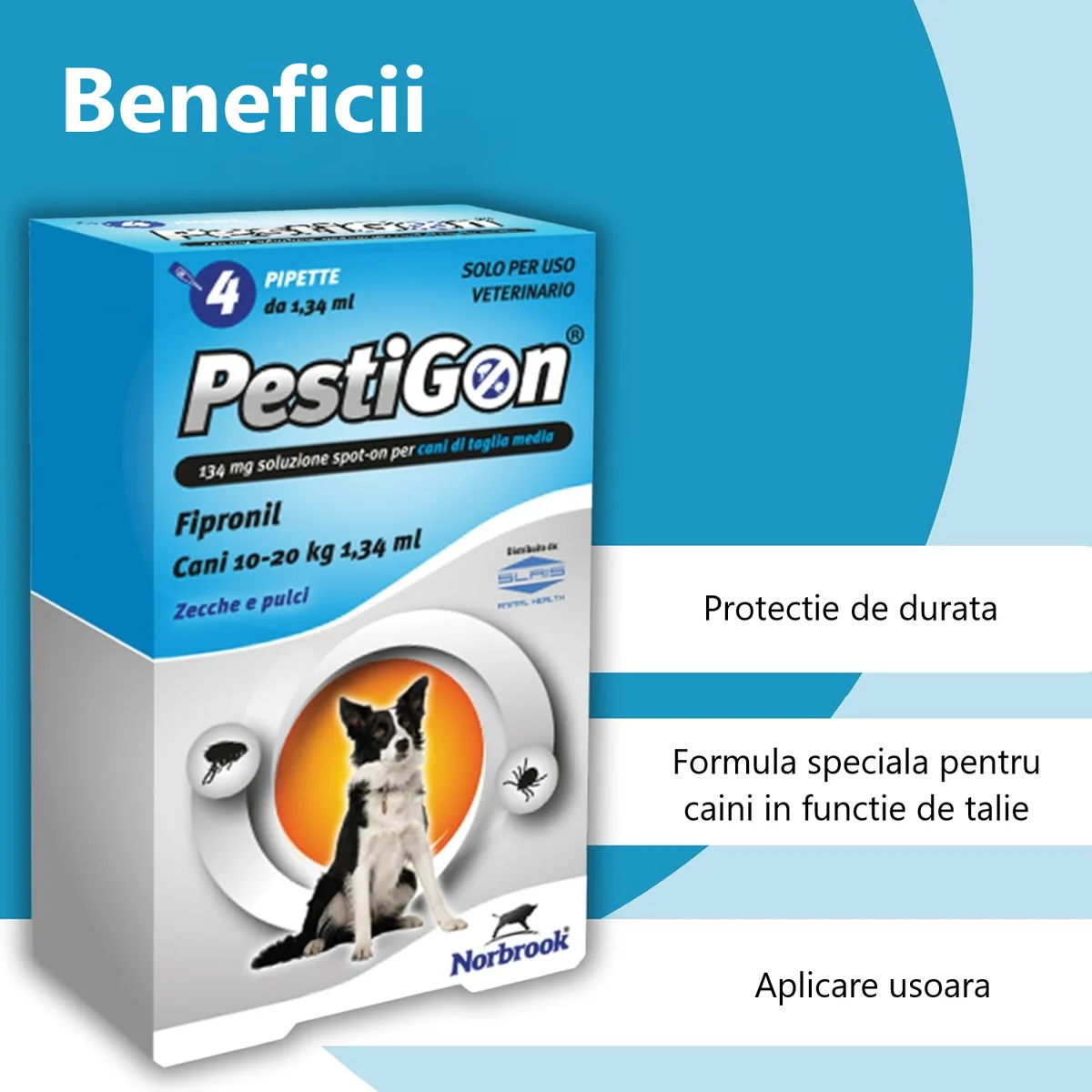 Pestigon Pipete Caine