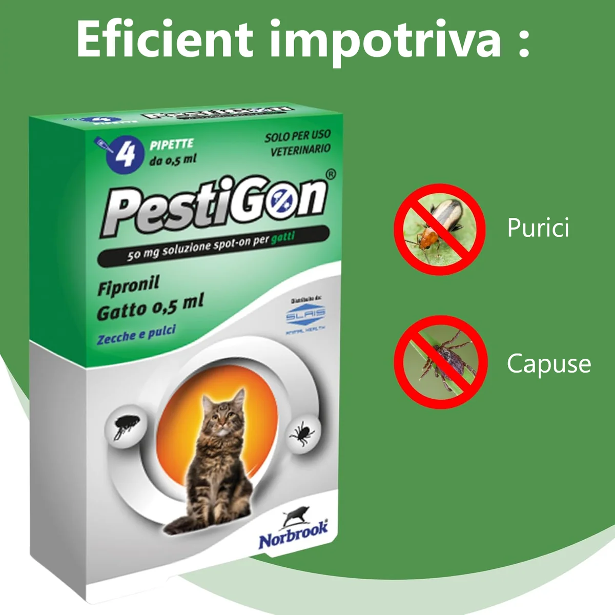 Pestigon Pipete Pisica