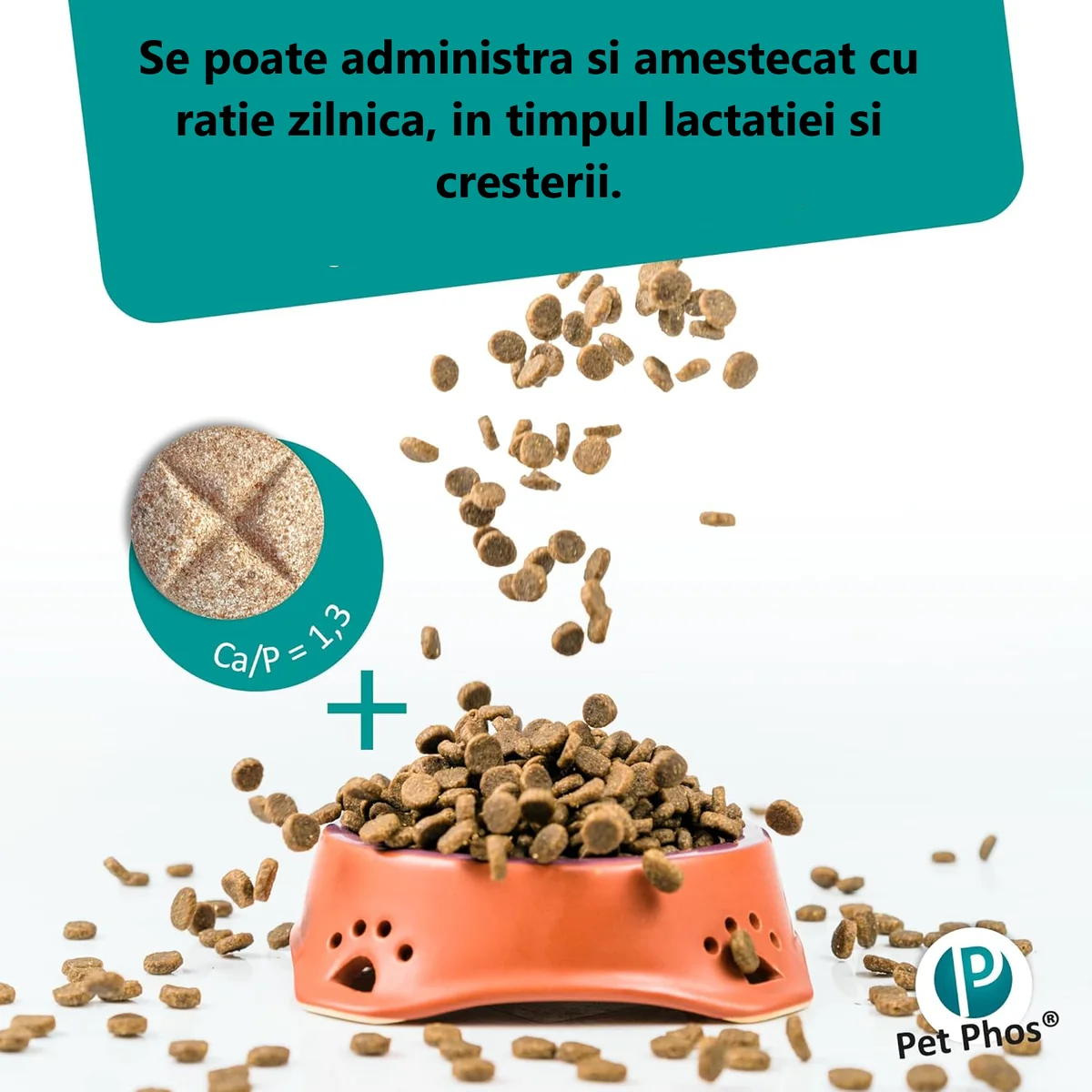 Pet Phos Vitamine Caine Croissance Ca/P=1.3