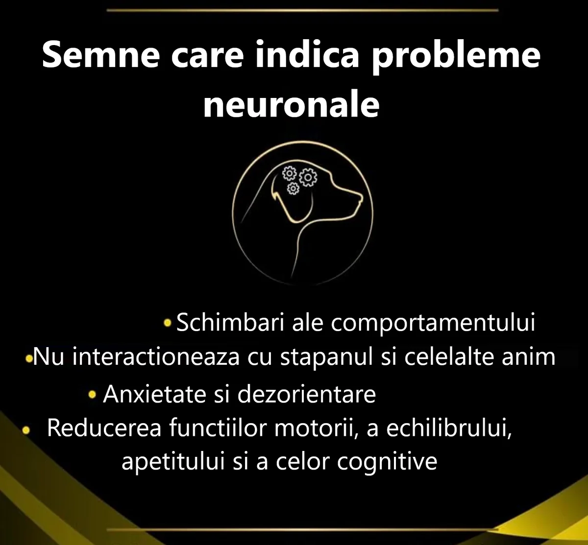 Pro Plan Dog Dieta Neurocare 3 Kg