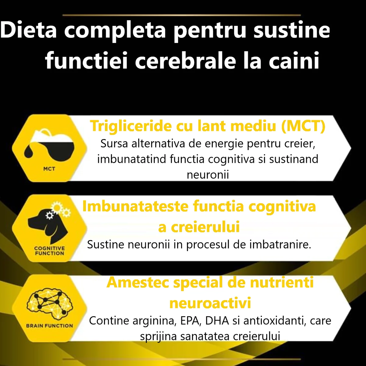 Pro Plan Dog Dieta Neurocare 3 Kg